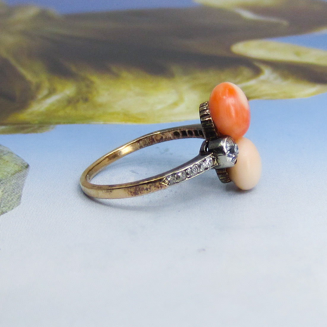 Edwardian Coral and Old Mine Diamond Ring Platinum/14k c. 1900