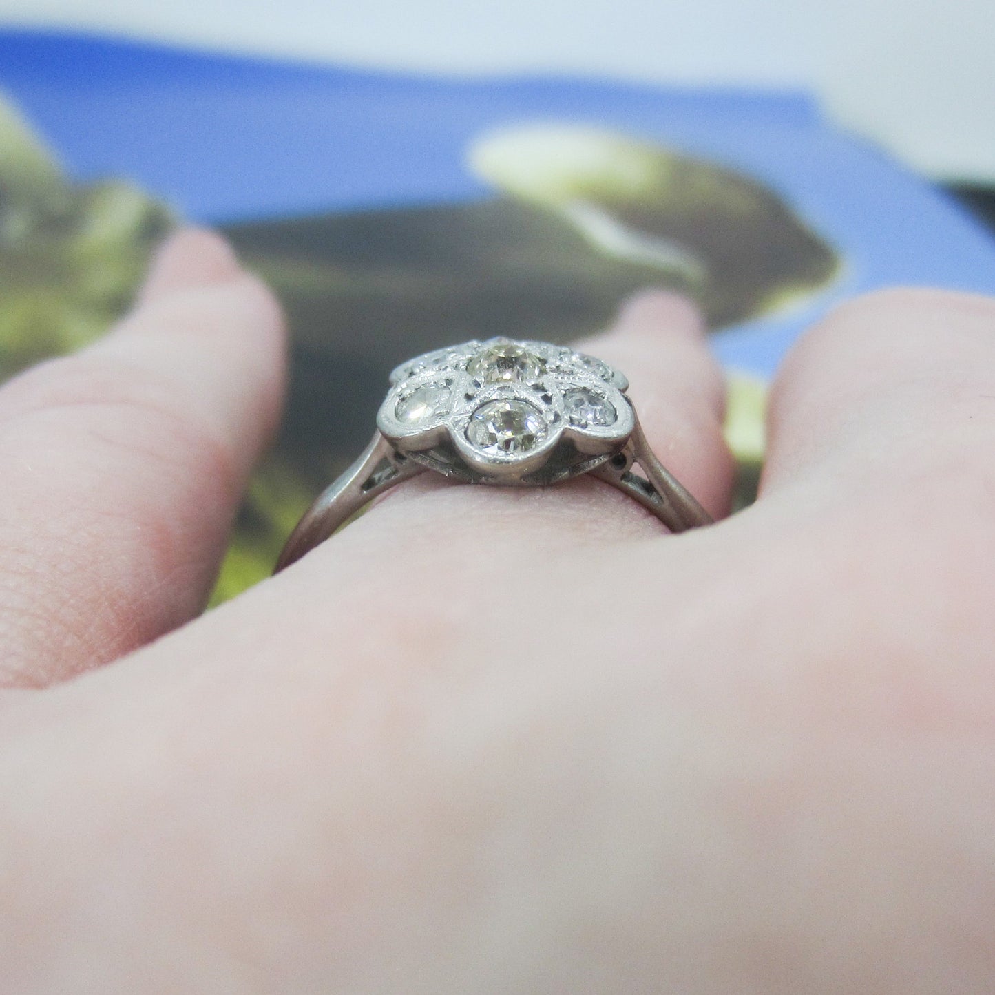 Edwardian Diamond Cluster Ring Plat/18k c. 1910