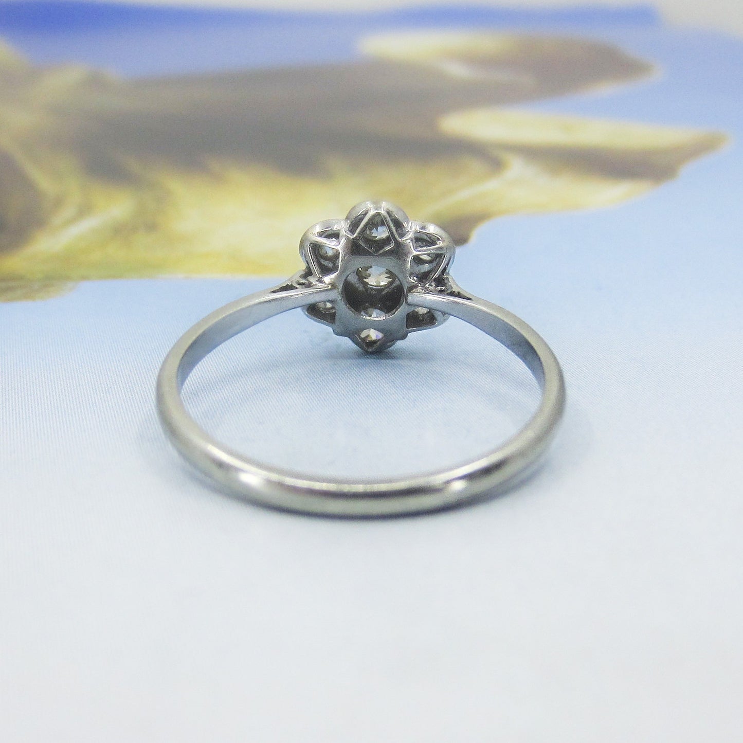 Edwardian Diamond Cluster Ring Plat/18k c. 1910