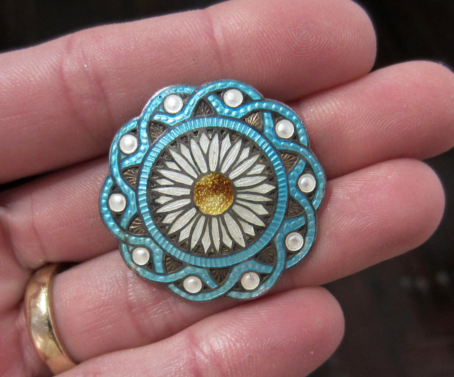 Gorgeous Edwardian Enamel Flower Brooch Sterling c. 1910