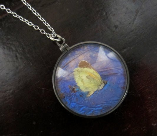 SOLD--Victorian Butterfly and Bird Feather Reversible Pendant Sterling c. 1890