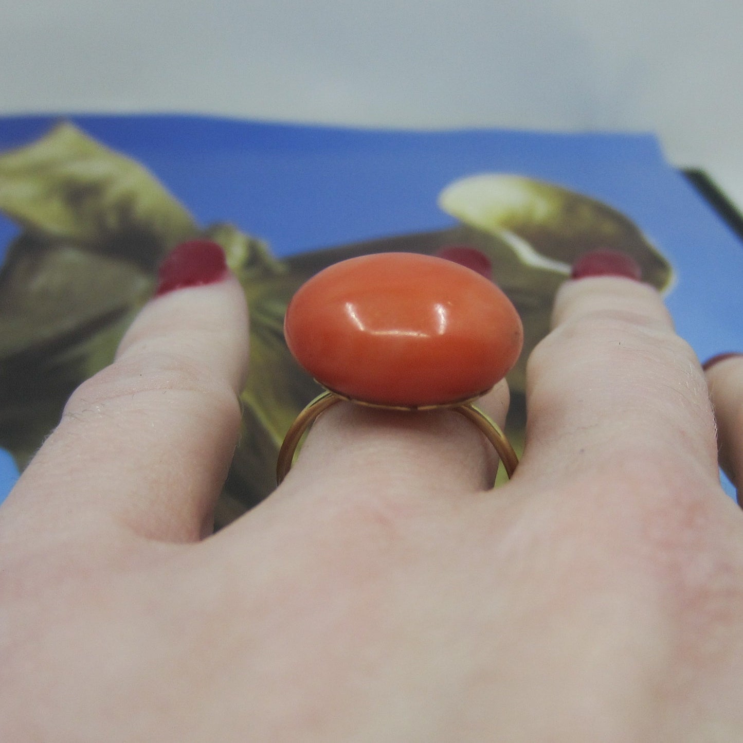 SOLD- Victorian Large Coral Cabochon Ring 14k c. 1890