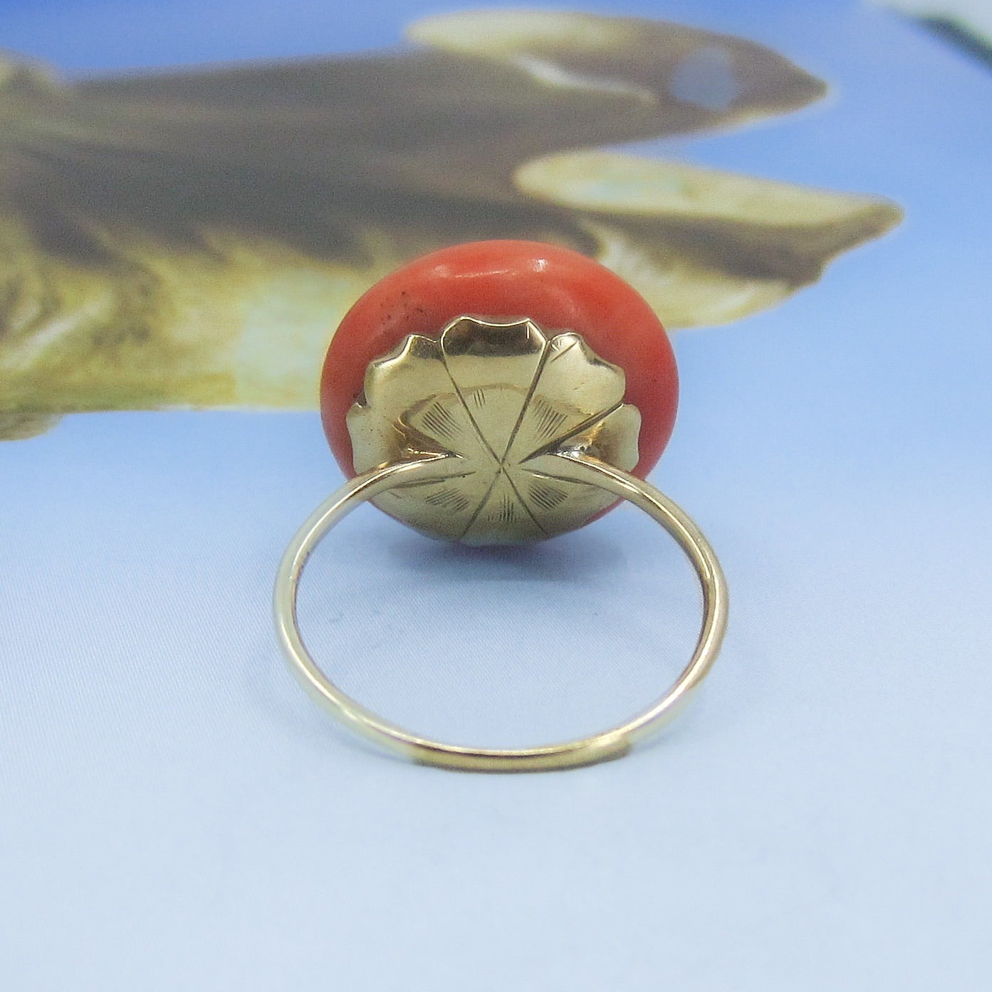 SOLD- Victorian Large Coral Cabochon Ring 14k c. 1890